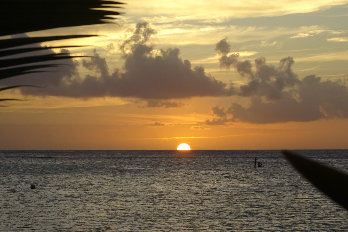 社内やイベントでの風景写真